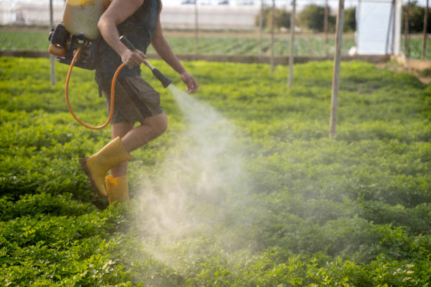 Best Exterminator Services  in Depoe Bay, OR