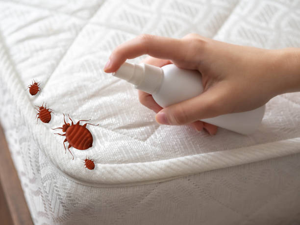 Best Wasp Removal Services  in Depoe Bay, OR