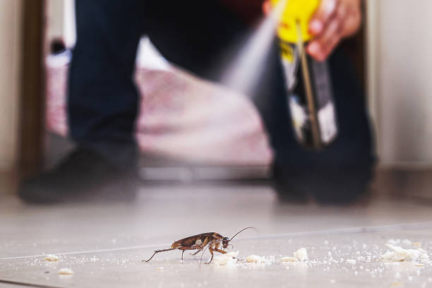 Best Emergency Pest Control  in Depoe Bay, OR